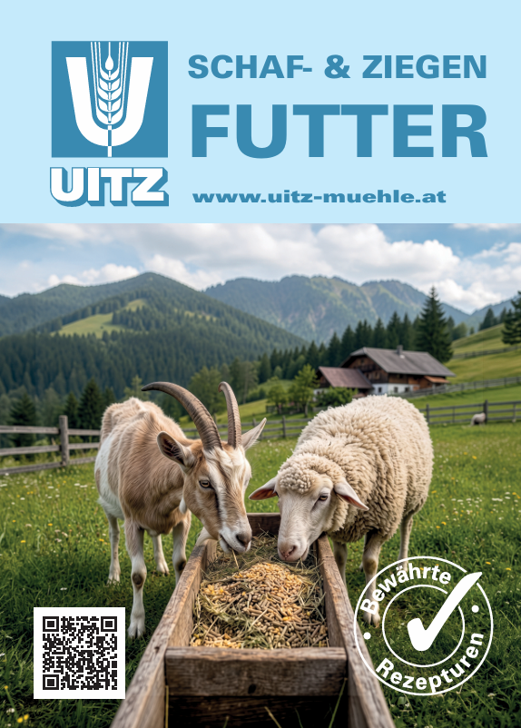 Titelbild Folder